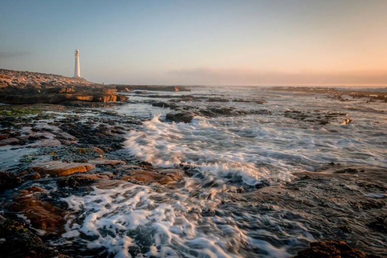 signal discovery for commercial purposes